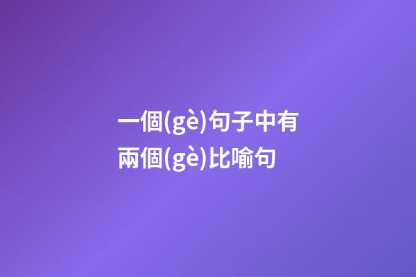 一個(gè)句子中有兩個(gè)比喻句