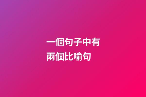 一個句子中有兩個比喻句