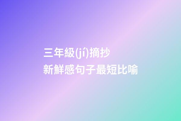 三年級(jí)摘抄新鮮感句子最短比喻