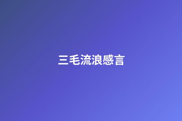 三毛流浪感言