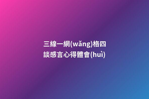 三線一網(wǎng)格四談感言心得體會(huì)