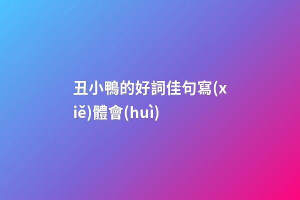 丑小鴨的好詞佳句寫(xiě)體會(huì)