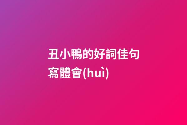 丑小鴨的好詞佳句寫體會(huì)