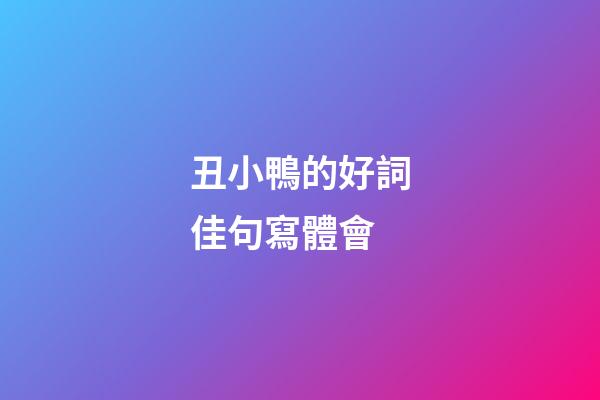 丑小鴨的好詞佳句寫體會