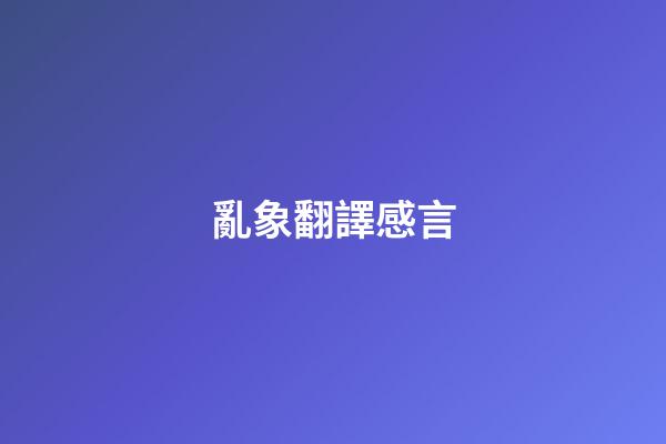 亂象翻譯感言