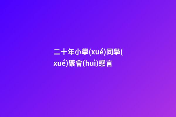 二十年小學(xué)同學(xué)聚會(huì)感言