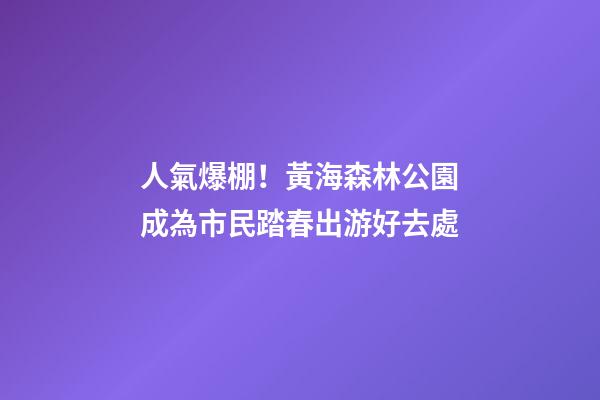 人氣爆棚！黃海森林公園成為市民踏春出游好去處