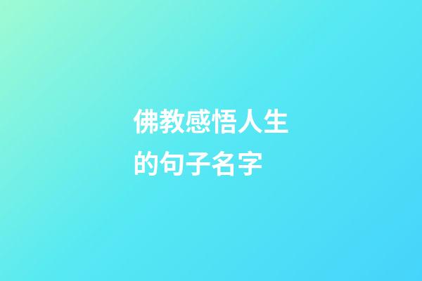 佛教感悟人生的句子名字