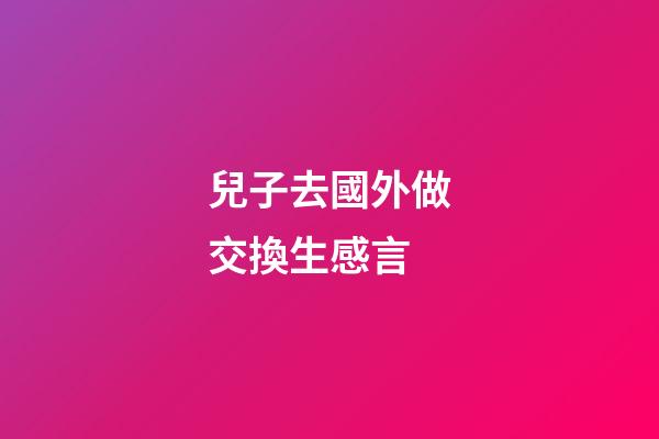 兒子去國外做交換生感言