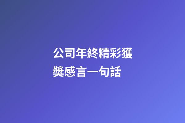 公司年終精彩獲獎感言一句話