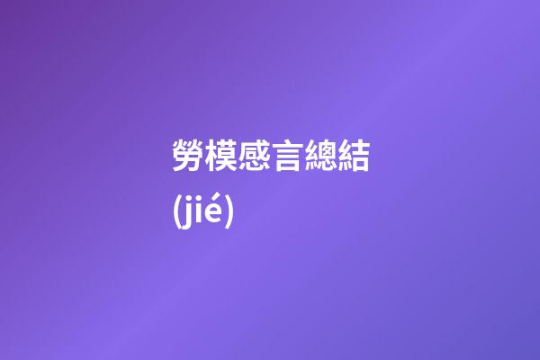 勞模感言總結(jié)