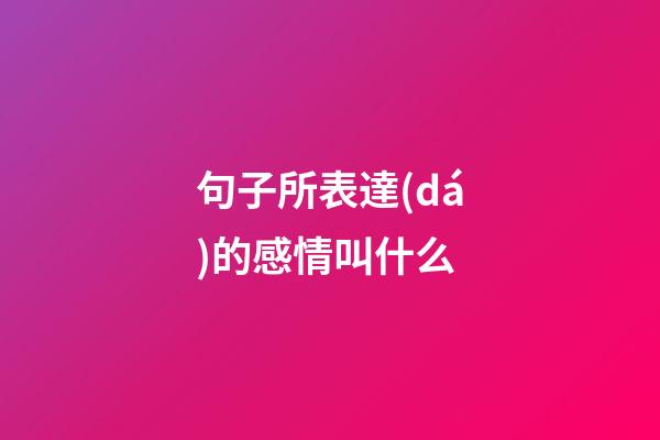 句子所表達(dá)的感情叫什么