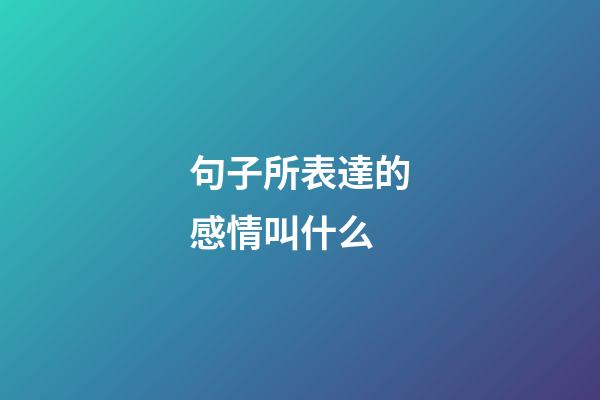 句子所表達的感情叫什么