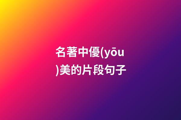 名著中優(yōu)美的片段句子