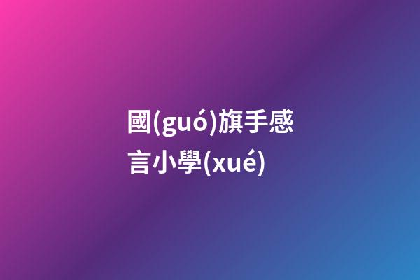 國(guó)旗手感言小學(xué)