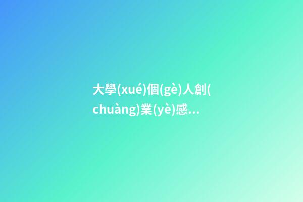 大學(xué)個(gè)人創(chuàng)業(yè)感言