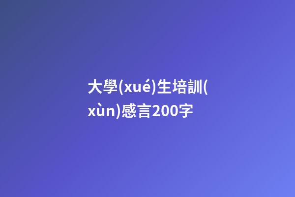 大學(xué)生培訓(xùn)感言200字