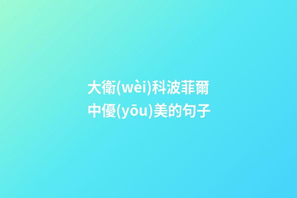 大衛(wèi)科波菲爾中優(yōu)美的句子