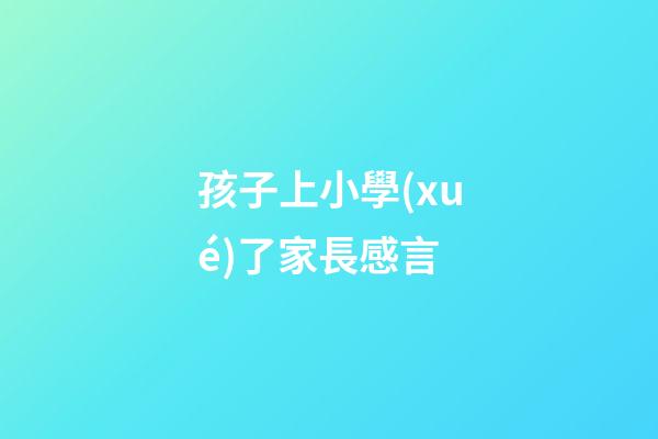 孩子上小學(xué)了家長感言