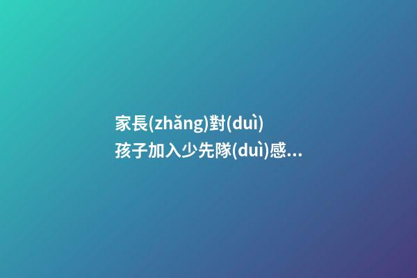 家長(zhǎng)對(duì)孩子加入少先隊(duì)感言