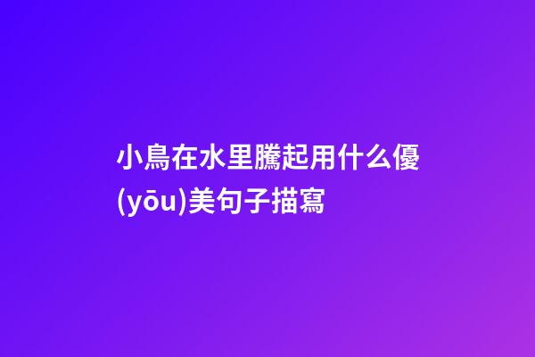 小鳥在水里騰起用什么優(yōu)美句子描寫