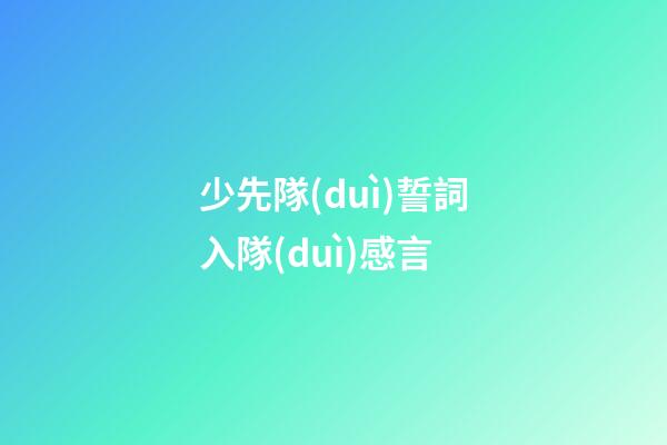 少先隊(duì)誓詞入隊(duì)感言