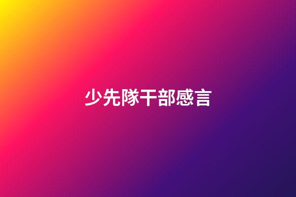 少先隊干部感言