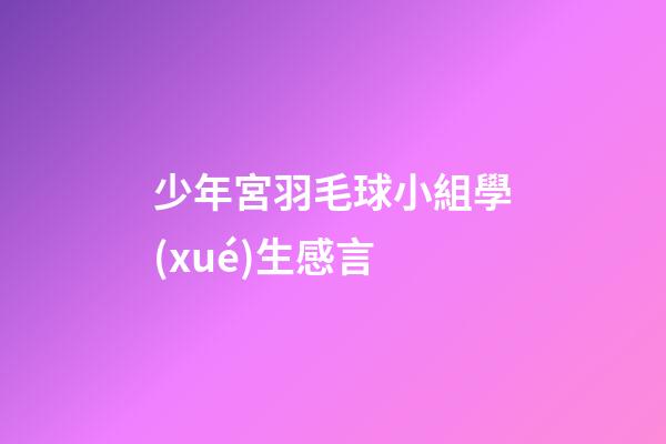 少年宮羽毛球小組學(xué)生感言