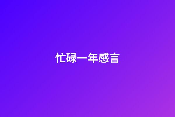 忙碌一年感言