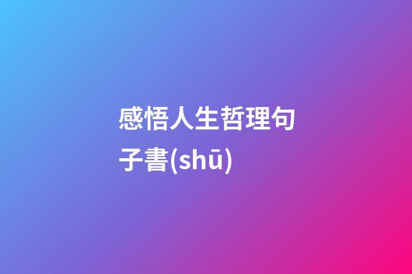 感悟人生哲理句子書(shū)