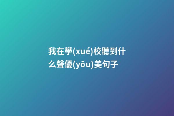 我在學(xué)校聽到什么聲優(yōu)美句子