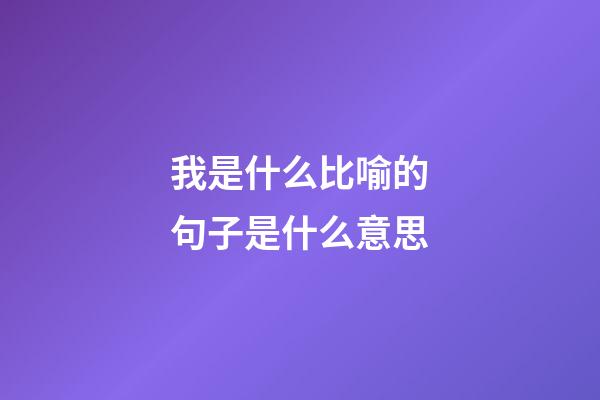 我是什么比喻的句子是什么意思