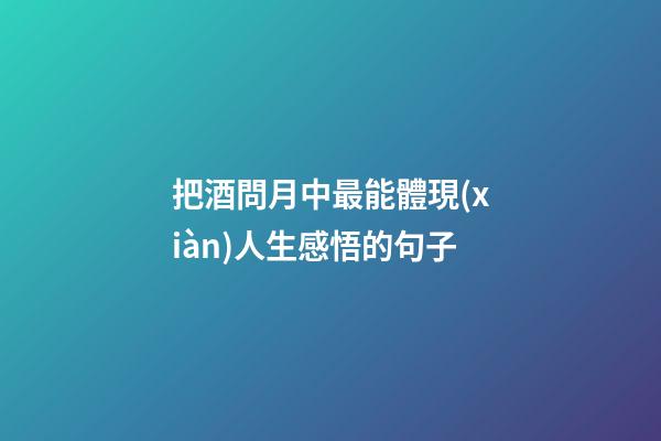 把酒問月中最能體現(xiàn)人生感悟的句子