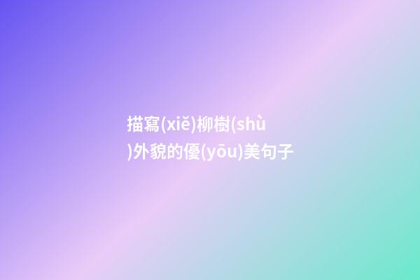 描寫(xiě)柳樹(shù)外貌的優(yōu)美句子