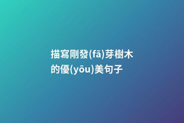 描寫剛發(fā)芽樹木的優(yōu)美句子