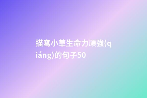 描寫小草生命力頑強(qiáng)的句子50