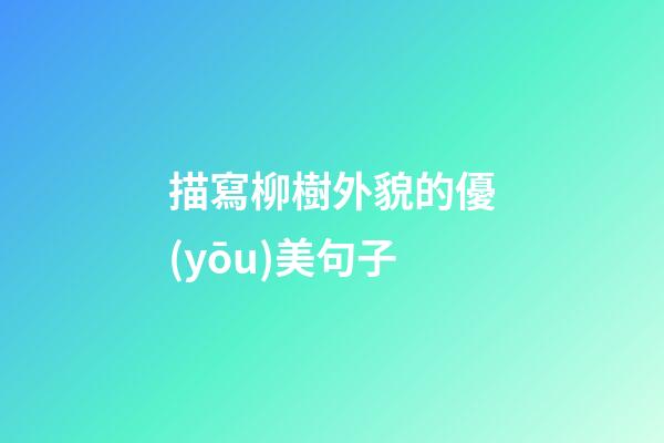 描寫柳樹外貌的優(yōu)美句子