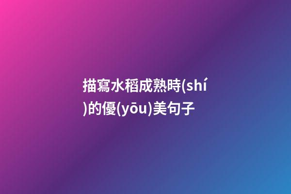 描寫水稻成熟時(shí)的優(yōu)美句子