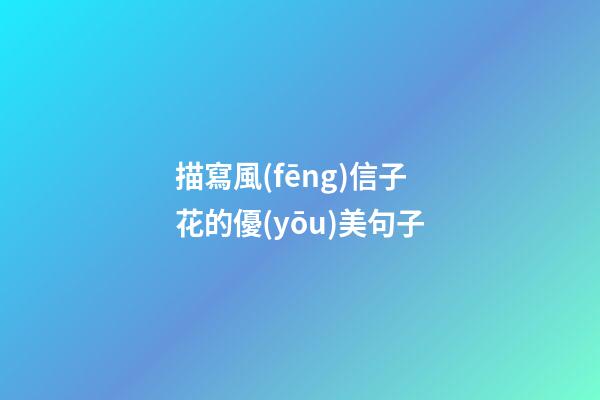 描寫風(fēng)信子花的優(yōu)美句子