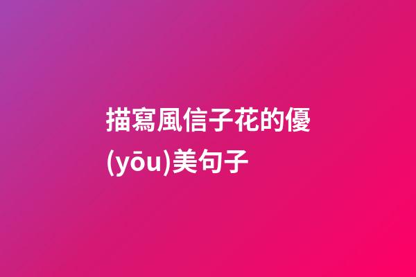 描寫風信子花的優(yōu)美句子