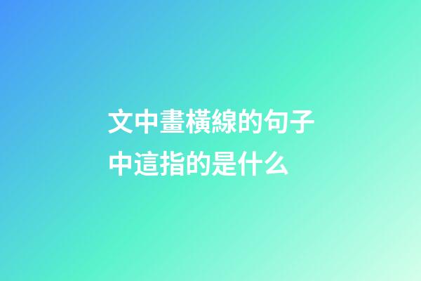 文中畫橫線的句子中這指的是什么