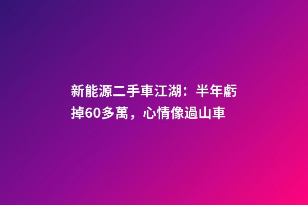 新能源二手車江湖：半年虧掉60多萬，心情像過山車