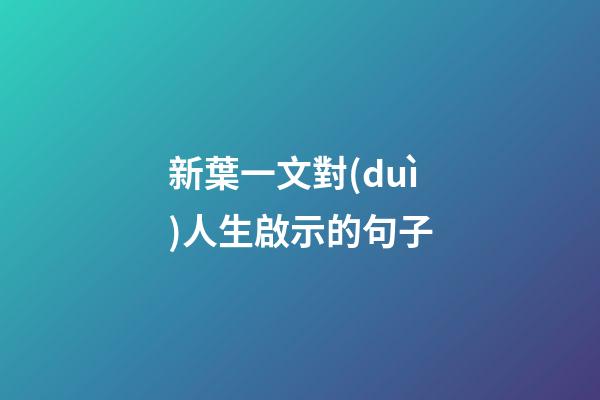 新葉一文對(duì)人生啟示的句子