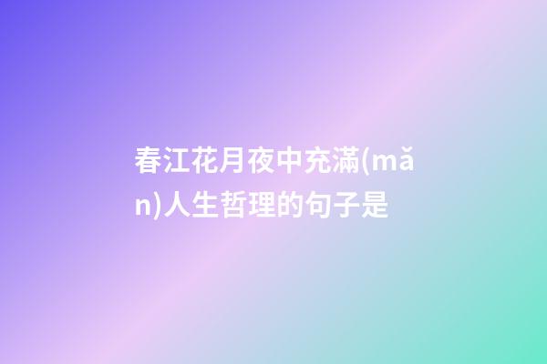 春江花月夜中充滿(mǎn)人生哲理的句子是