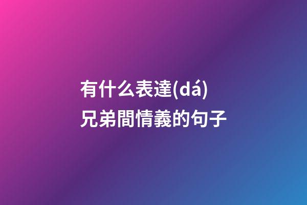 有什么表達(dá)兄弟間情義的句子