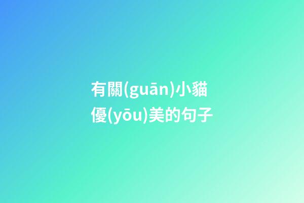 有關(guān)小貓優(yōu)美的句子