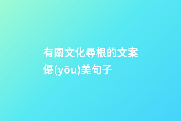 有關文化尋根的文案優(yōu)美句子