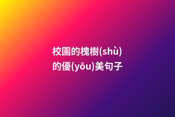 校園的槐樹(shù)的優(yōu)美句子