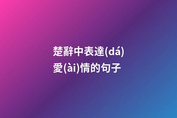 楚辭中表達(dá)愛(ài)情的句子