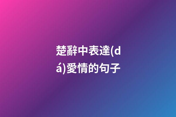 楚辭中表達(dá)愛情的句子